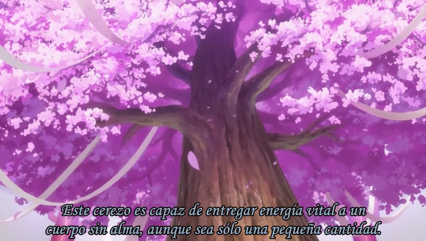 Tsubasa: Shunraiki (Friki no Fansub)